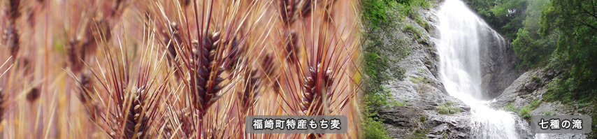 福崎町特産もち麦 七種の滝